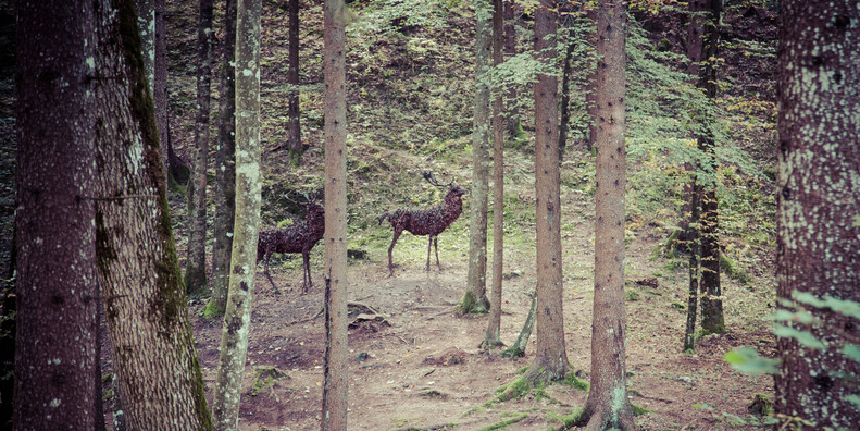 TRENTINO GEBRUIKT DE NATUUR ALS CANVAS  #4