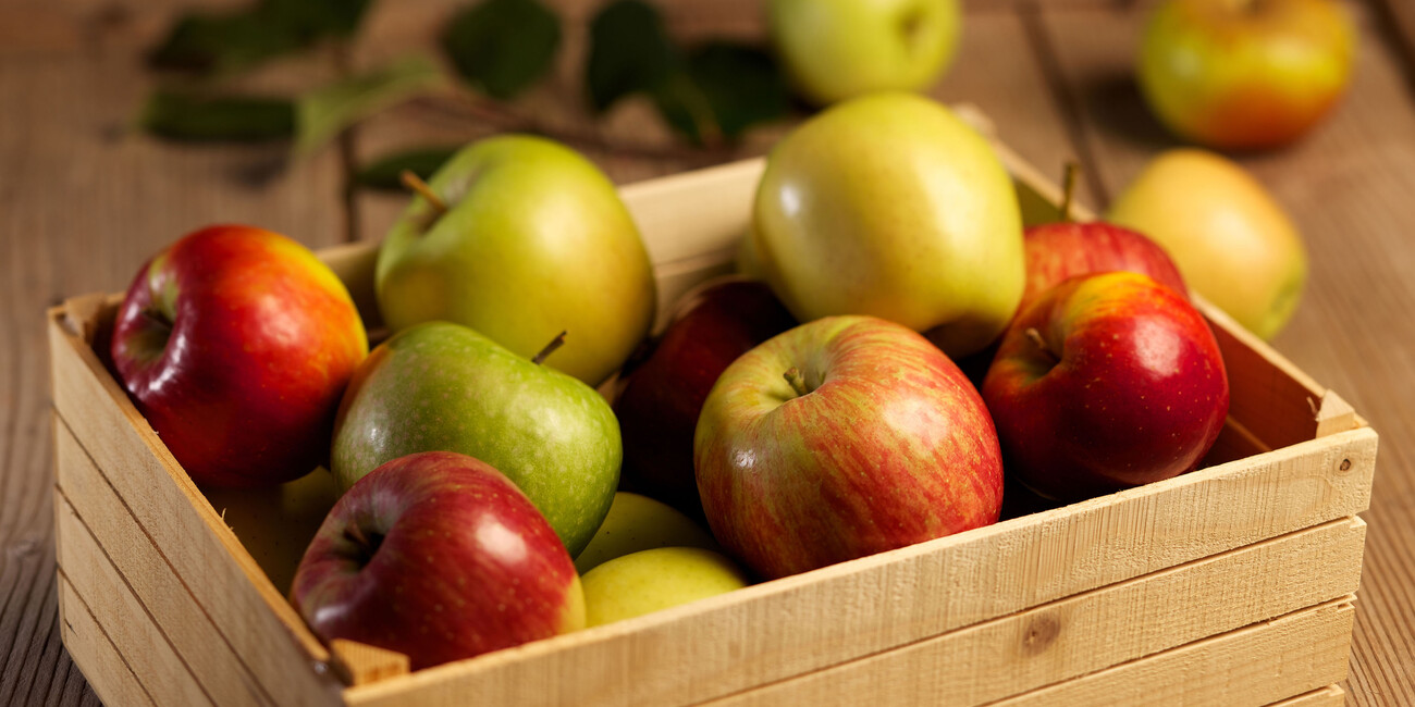 РАССКАЗ О РЕГИОНЕ ПРОДОЛЖАЕТСЯ ЗА СТОЛОМ #2