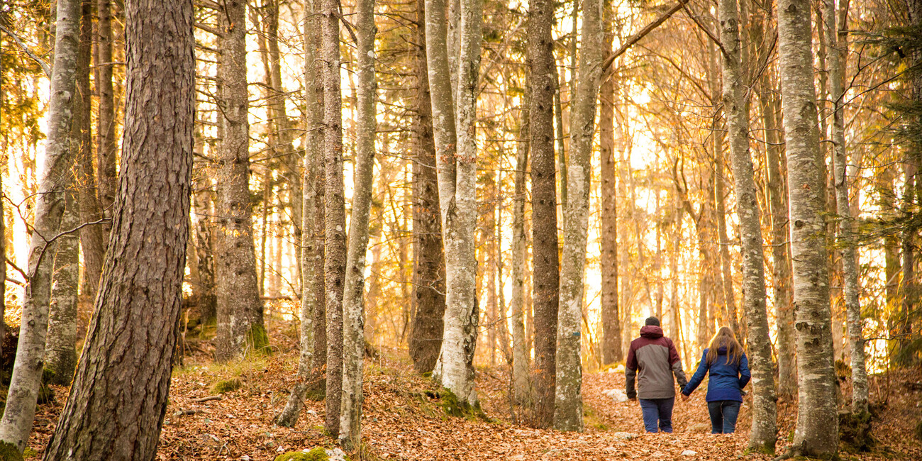 Five Ways To Spend An Autumn Break In  Trentino, Northern Italy #4