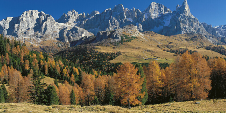 Autumn among the flavours and colours of Trentino #1