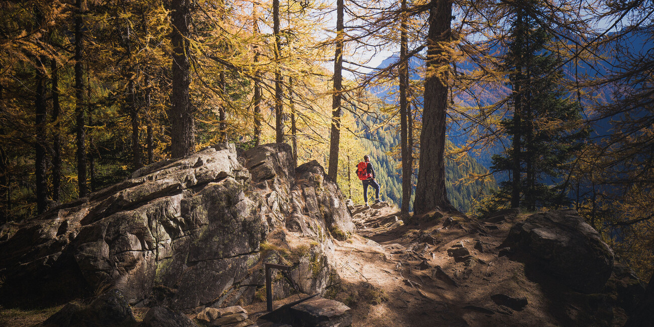 Hüttenzauber im Herbst Bergerlebnis für wahre Feinschmecker  #3