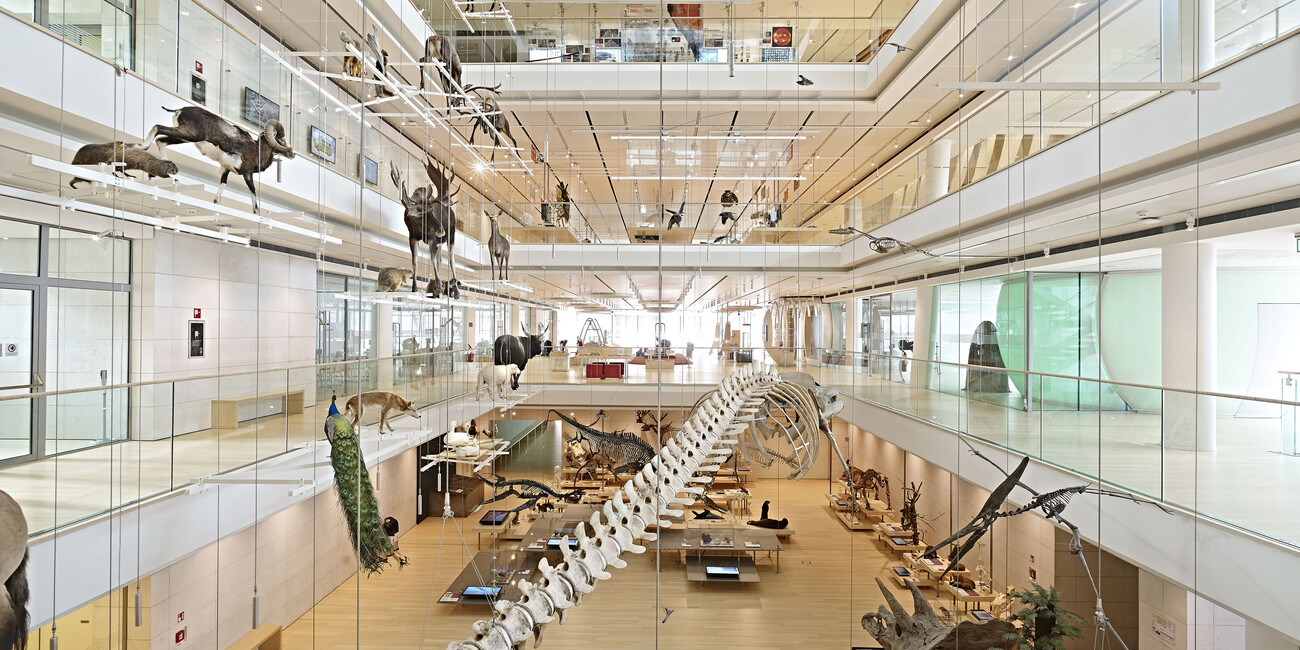 L’ESTATE SPALANCA LE PORTE ALLA CULTURA  #2