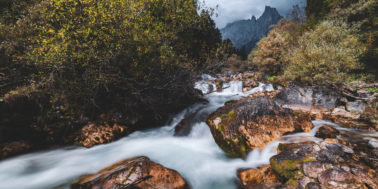 UP HIGH WITH JUST SILENCE FOR COMPANY   #4