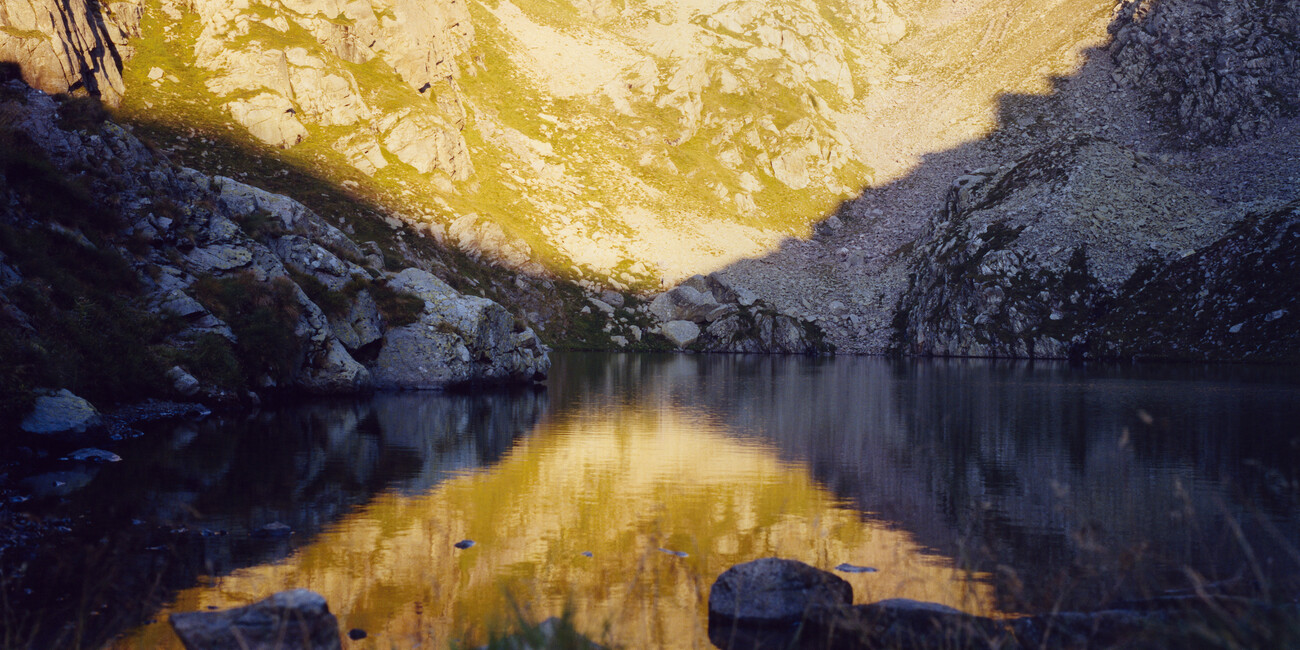 UP HIGH WITH JUST SILENCE FOR COMPANY   #1