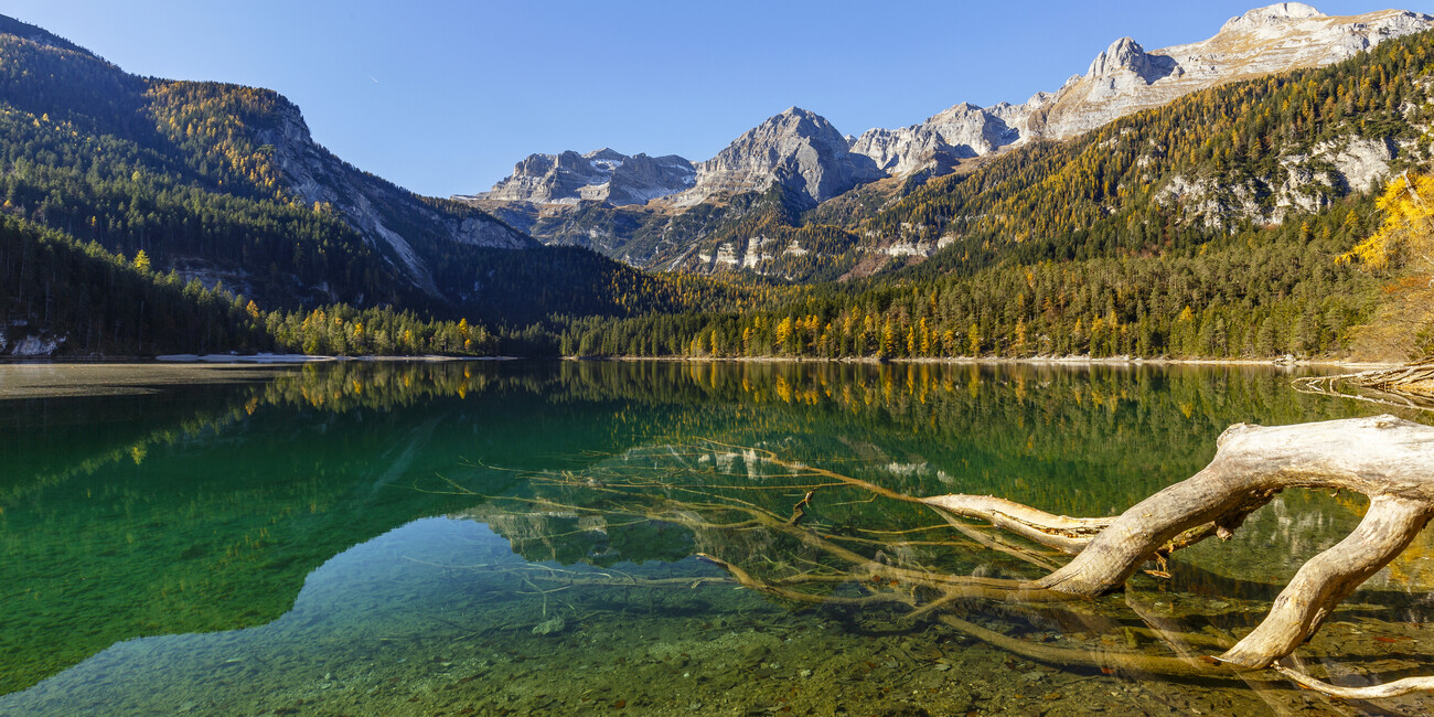 TAKE A WALK AMONG THE MAGICAL COLOURS OF NATURE #4