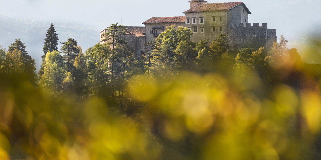 BE DAZZLED BY HISTORICAL GARDENS AND CASTLES #2