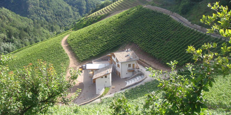 Bijzondere overnachtingen op wijngaarden in Trentino #1