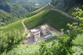 Bijzondere overnachtingen op wijngaarden in Trentino