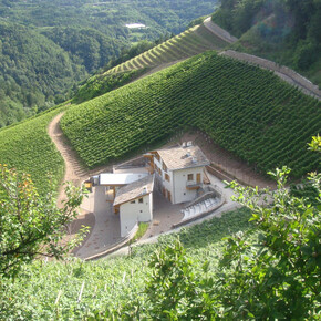 Bijzondere overnachtingen op wijngaarden in Trentino