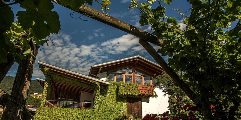 Bijzondere overnachtingen op wijngaarden in Trentino #2