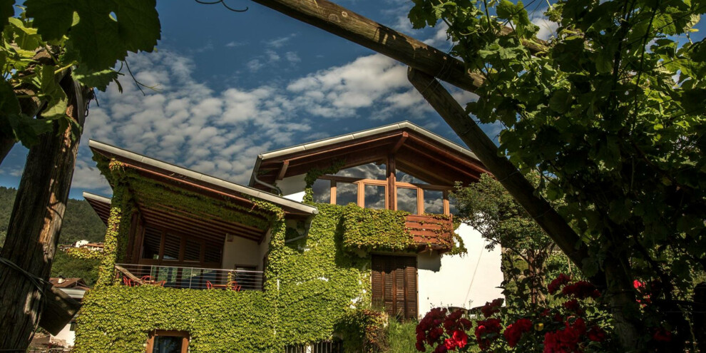 Maso Besleri – Val Bona