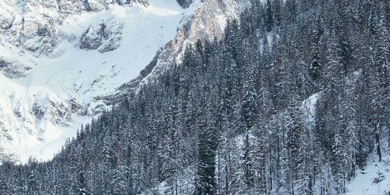 Die Entdeckung der Langsamkeit im Trentino   #13
