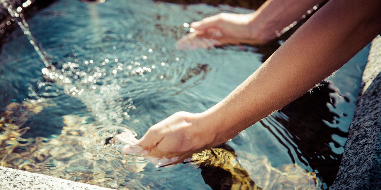 POBYT W TRENTINO POBUDZA CIAŁO I UMYSŁ  #1