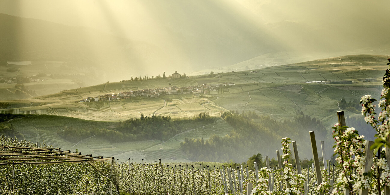 PROCHÁZKY PO PALETĚ PŘÍRODY  #4