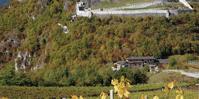 В ЗАМКАХ СРЕДИ ТАЙН, ЛЕГЕНД И… ПРИЗРАКОВ  #5