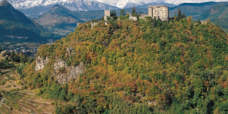 В ЗАМКАХ СРЕДИ ТАЙН, ЛЕГЕНД И… ПРИЗРАКОВ  #6