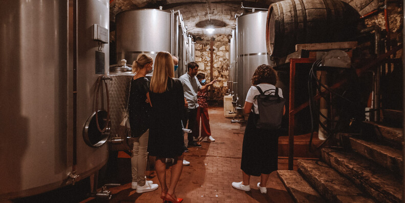 NEW WINE TOURISM PRODUCT LAUNCHES IN TRENTINO #1