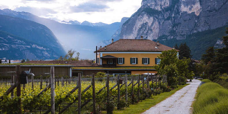 NEW WINE TOURISM PRODUCT LAUNCHES IN TRENTINO #2