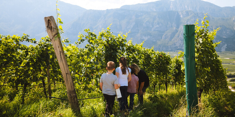 NEW WINE TOURISM PRODUCT LAUNCHES IN TRENTINO #6