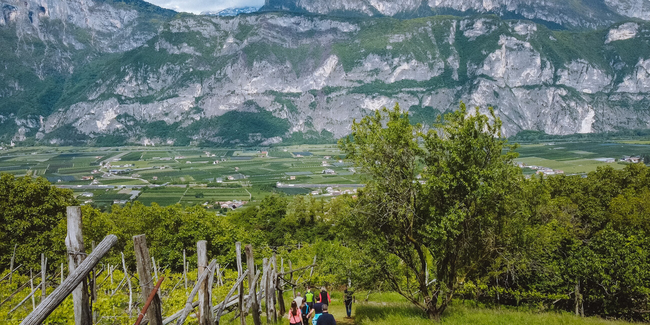 NEW WINE TOURISM PRODUCT LAUNCHES IN TRENTINO #5
