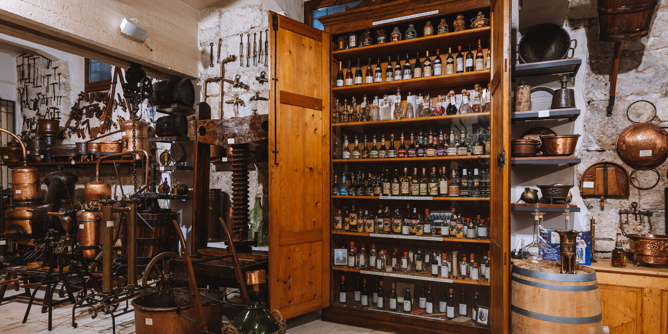 NEW WINE TOURISM PRODUCT LAUNCHES IN TRENTINO #8