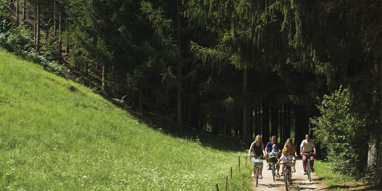 PERCORSO CICLOPEDONALE DELLE VALLI DI FIEMME E FASSA #2
