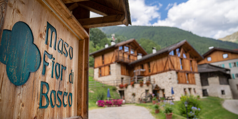HOME AWAY FROM HOME: TRENTINO’S FINEST MOUNTAIN HIDEAWAYS  FOR DIGITAL NOMADS #7