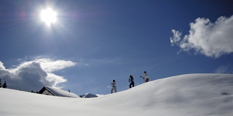 Mit Blick auf die verschneite Alpenlandschaft #5
