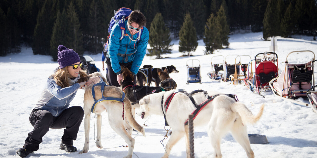 ZTRATIT SE V BÍLÉ PŘÍRODĚ  #7