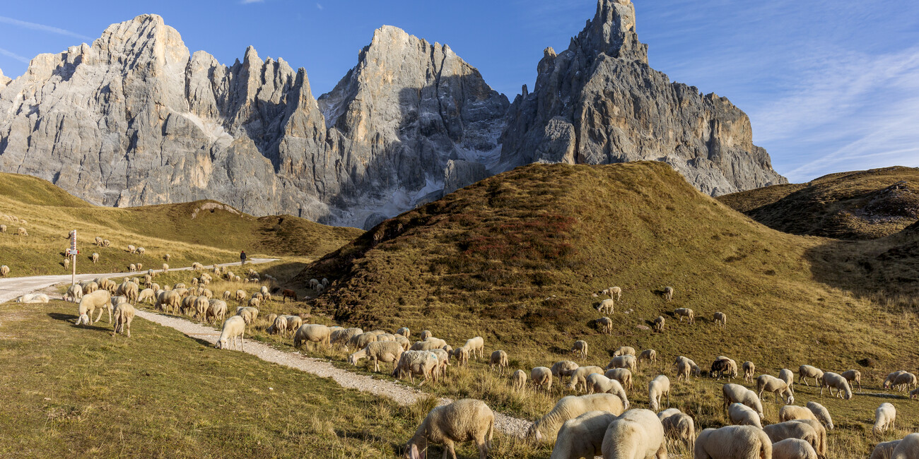 PODZIMNÍ HORY, KTERÝM SE NIC NEVYROVNÁ #1