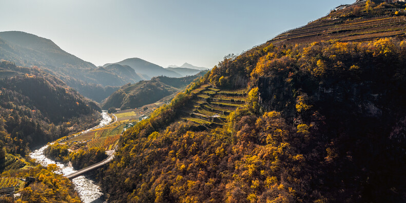Besondere Straßen und ausgefallene Erlebnisse rund um den Wein Trentinos #1