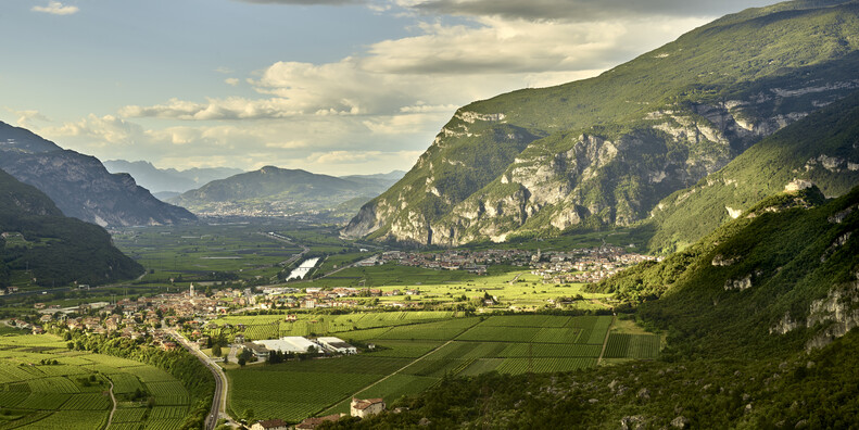 Besondere Straßen und ausgefallene Erlebnisse rund um den Wein Trentinos #4