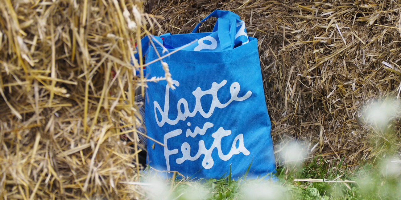 L’AUTUNNO DEL MONDO DELL'ALPEGGIO  #3