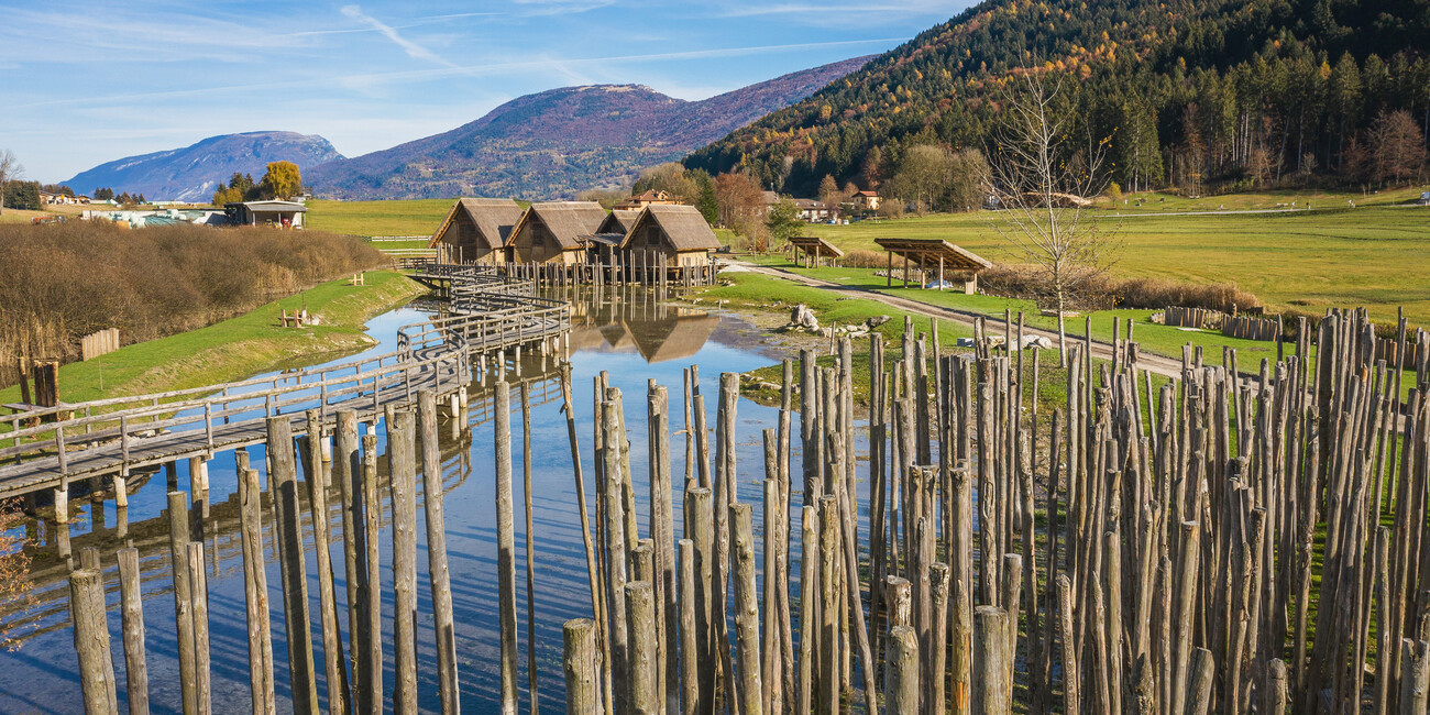 NEL VILLAGGIO PREISTORICO TRA TERRA E ACQUA #7