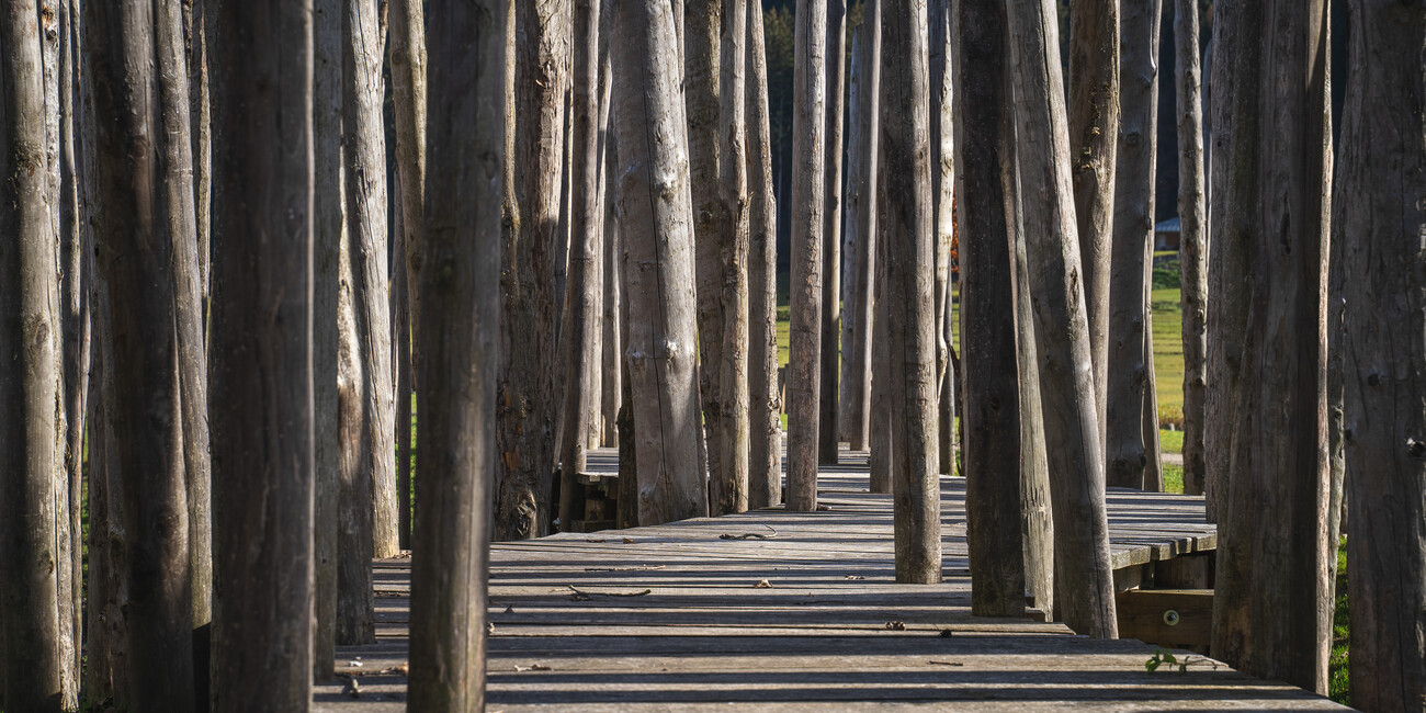 NEL VILLAGGIO PREISTORICO TRA TERRA E ACQUA #1