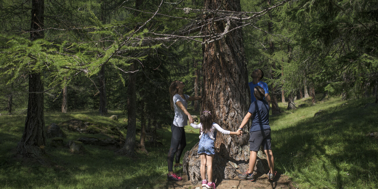 ALLE TERME NUOVE ESPERIENZE DI SALUTE E BENESSERE  #11