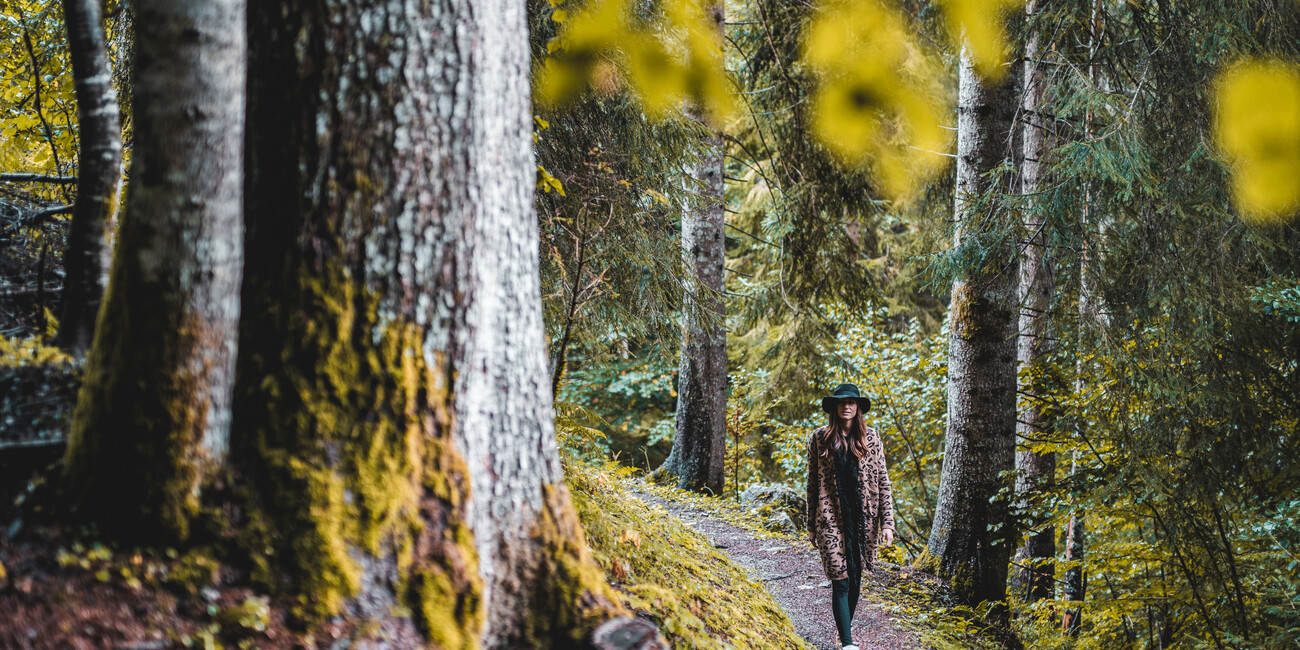 IL NATURAL WELLNESS MADE IN TRENTINO #4