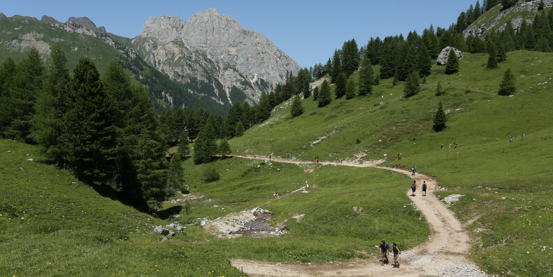 HORSKÉ CHATY JSOU ZNOVU OTEVŘENY #7