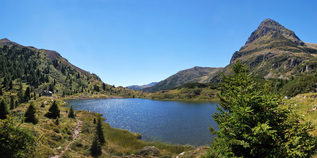 IL RESPIRO DELLA NATURA, LE PROPOSTE NEI PARCHI #2