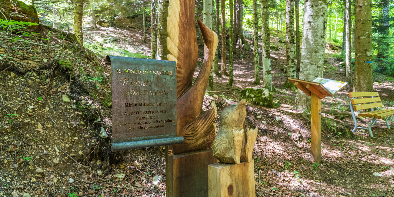 TRENTINO, UN’ESPERIENZA UNICA PER RAGAZZI E FAMIGLIE  #4