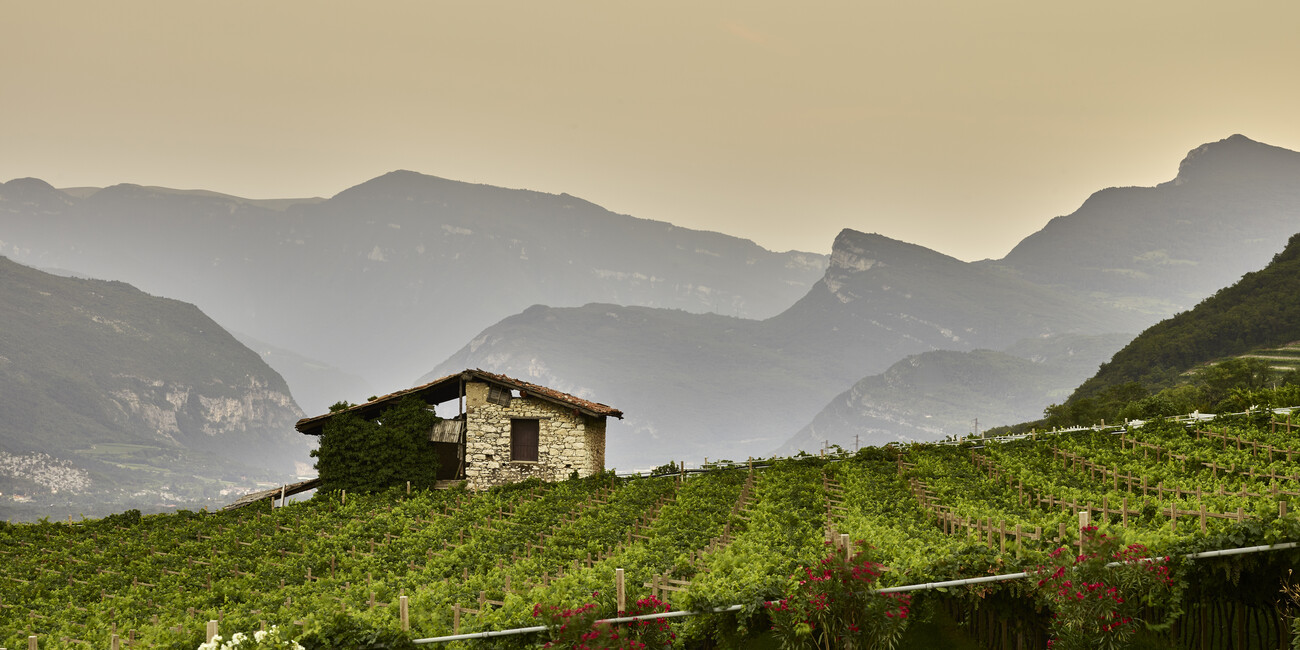 FLAVOURS OF TRENTINO #5