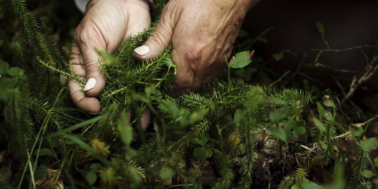 FLAVOURS OF TRENTINO #4