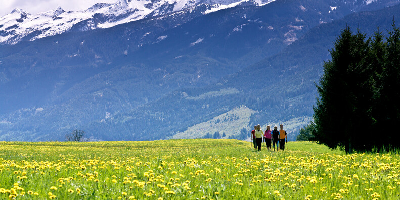 Entewandelingen door de bloemenpracht van Trentino #1