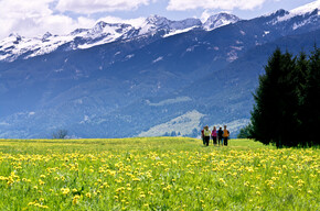 Entewandelingen door de bloemenpracht van Trentino