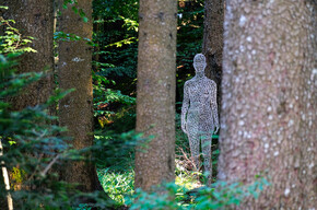 Ausstellungen im Wald