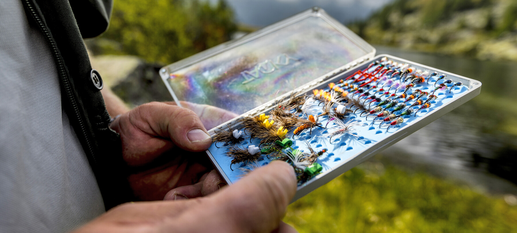 Salmerino Alpino: Guida alla Sua Pesca nei Laghi Alpini