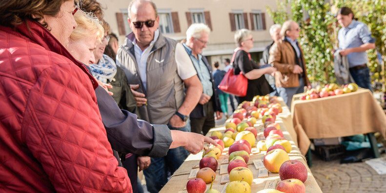 Trentino im Zeichen des Apfels #2