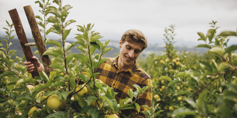 Trentino im Zeichen des Apfels #1