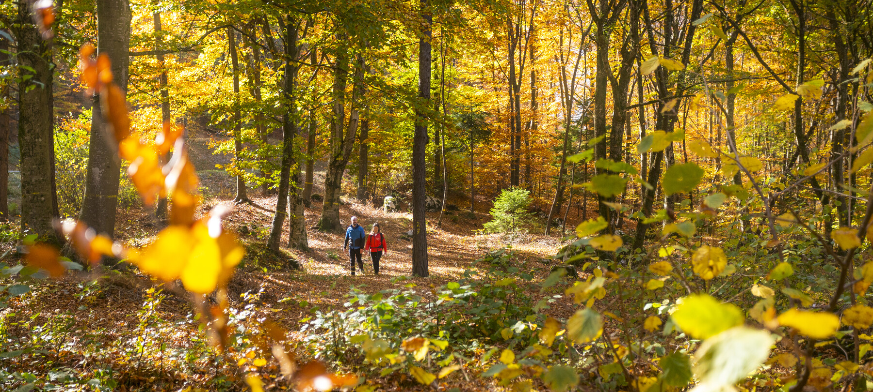 Vacanze inclusive per tutti i gusti 