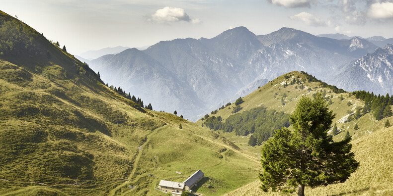 Berghütten im Trentino eröffnen ab 20. Juni #3